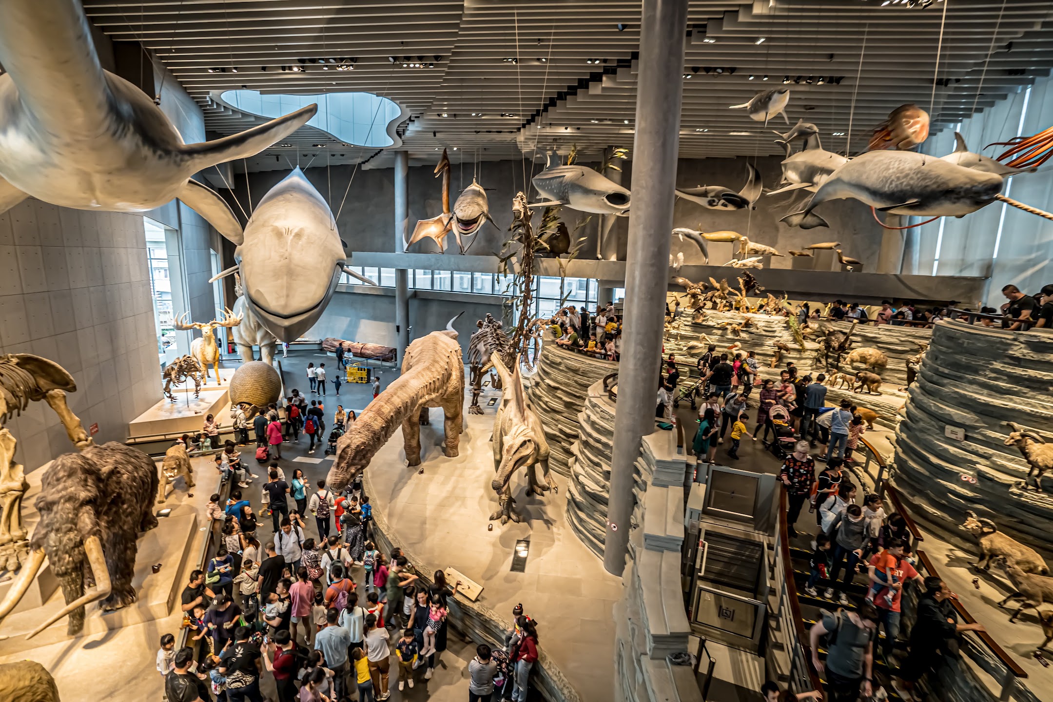 Cultural Deep Dives: Museums & Theaters — Immerse Yourself in Shanghai’s Soul from Demores Hotel